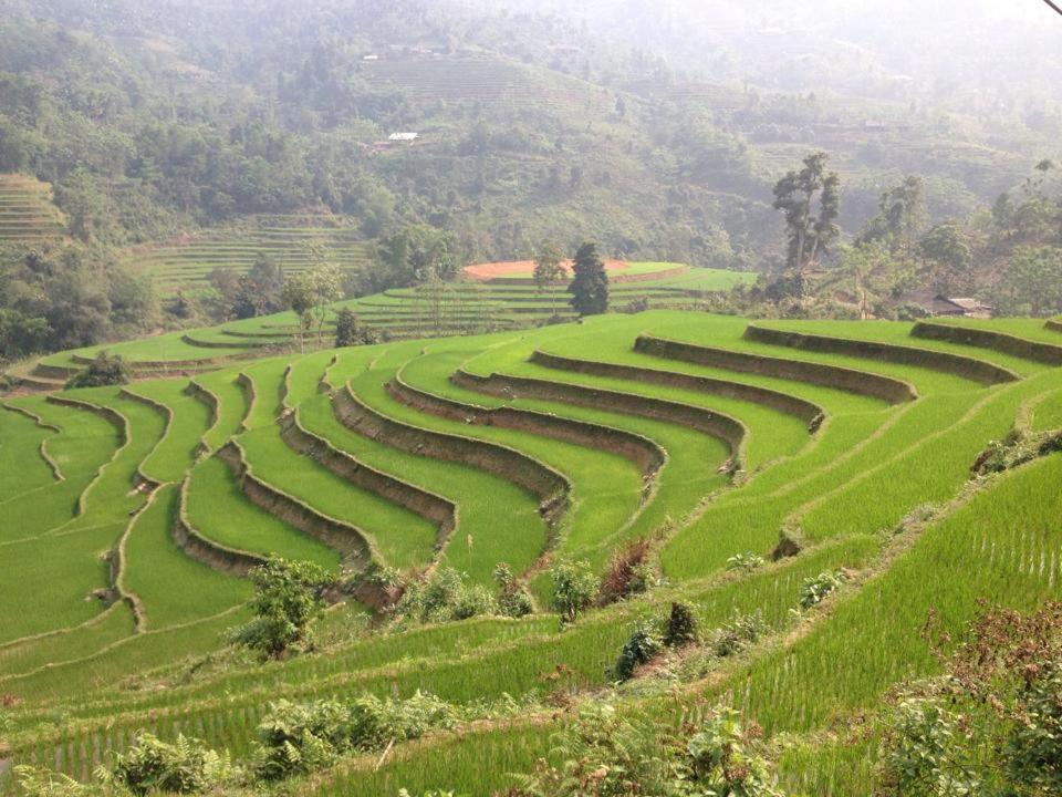 Ngan Nga Bac Ha Hotel Екстериор снимка